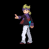 Pokémon #462