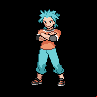 Pokémon #464
