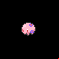 Pokémon #517