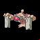 Pokémon #534