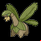 Pokémon #357