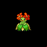 Pokémon #182 5G