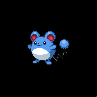 Pokémon #183 5G