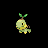 Pokémon #387 5G
