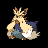 Pokémon #508 5G