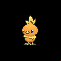 Pokémon #255 6G