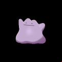 Pokémon #132 8G