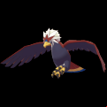 Pokémon #628 8G