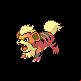 Pokémon #58 DP