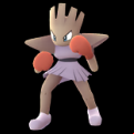 Pokémon #107 GO