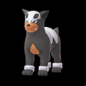 Pokémon #228 GO