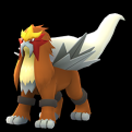 Pokémon #244 GO