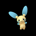 Pokémon #312 GO