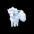 Pokémon #37a GO