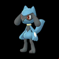 Pokémon #447 GO