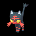 Pokémon #725 GO