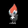 Pokémon #731 GO