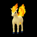 Pokémon #77 GO