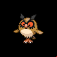 Pokémon #163 HGSS