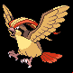 Pokémon #18 HGSS