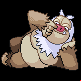 Pokémon #289 HGSS