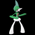 Pokémon #475 MX