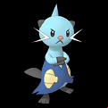 Pokémon #502 MX