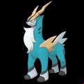 Pokémon #638 MX