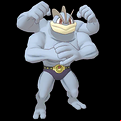 Pokémon #68 MX
