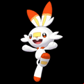 Pokémon #813 MX
