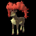 Pokémon #586a NPS