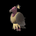 Pokémon #630 NPS