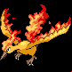 Pokémon #146 PT