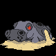 Pokémon #450f PT