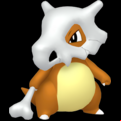 Pokémon #104 defaut