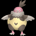 Pokémon #629 defaut