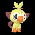 Pokémon #810 MX