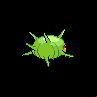 Blindalys femelle shiny dans Noire et Blanche