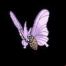 Aeromite femelle dans Noire et Blanche