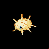 Armulys femelle shiny dans Noire et Blanche