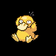 Psykokwak femelle dans Diamant et Perle