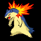 Typhlosion mâle dans Diamant et Perle