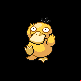 Psykokwak