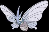 Aeromite shiny